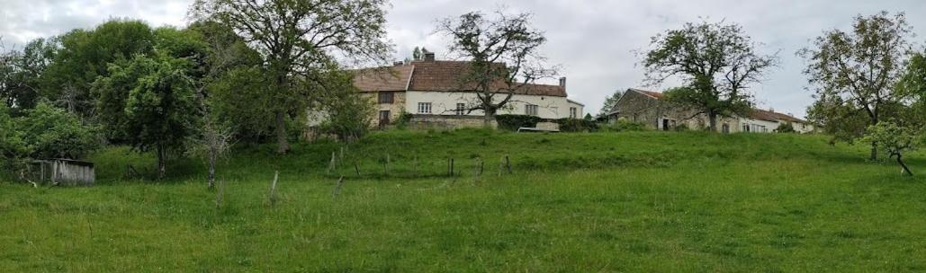 Chateau D'Impasse Laferté-sur-Amance Kültér fotó